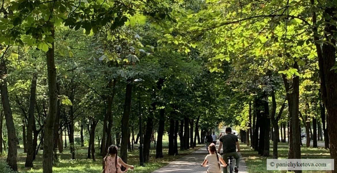 Як допомогти дитині досягнути успіху там, де не вдалося тобі